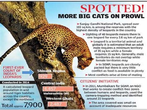 latest leopard deaths due to conflict